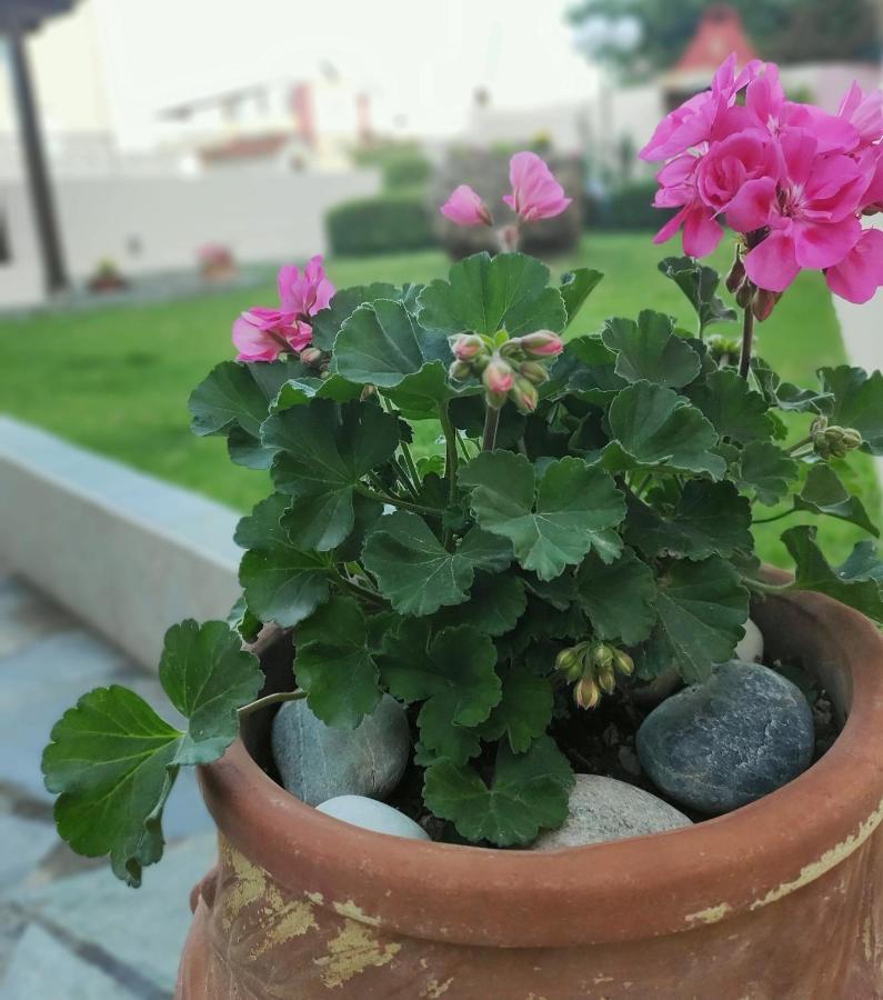 Villa Aphrodite Kolimvari Zewnętrze zdjęcie